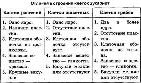 Функциональные различия в сравнении с старой клеткой