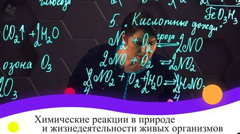 Химические реакции в организмах и преобразование пищи в энергию