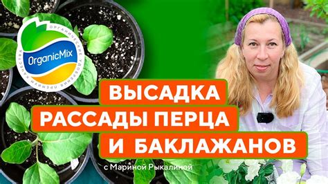 Химические средства от гнили