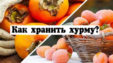 Хурма: ценный овощной дар при заболеваниях ЖКТ