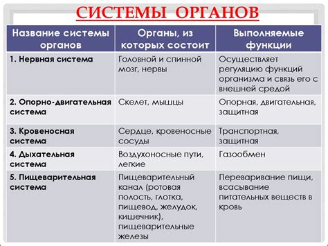 Целевые органы и функции