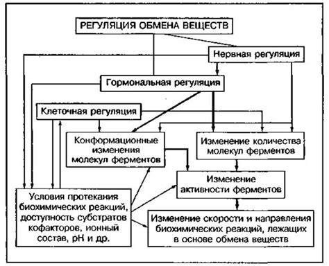 Цельность организма: взаимосвященность действий и обмена информацией