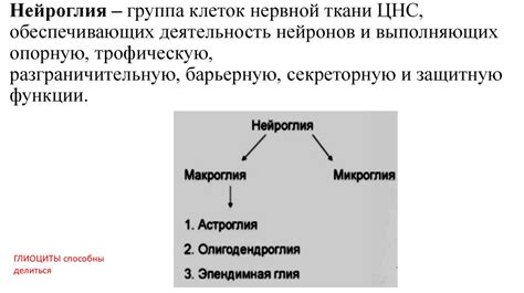 Цель и функции морозилки