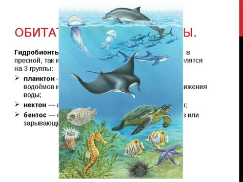 Циклонические движения и структура водной среды