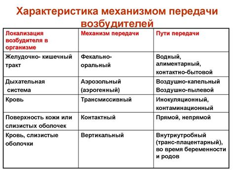 Цитомегаловирус: сущность и пути передачи