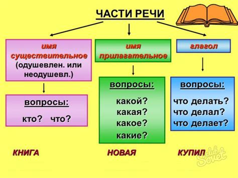 Части речи: определение и основные виды