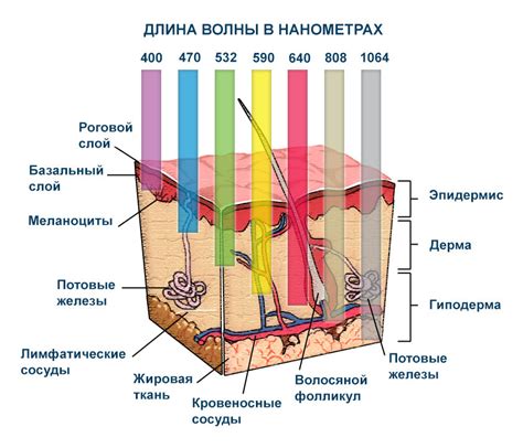 Чувствительность к крайним воздействиям на кожу в зависимости от пола