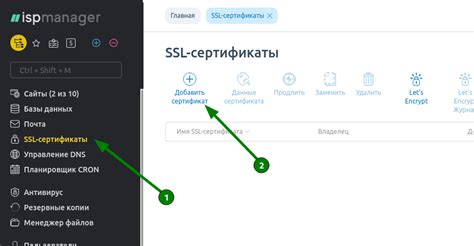 Шаги установки SSL сертификата на домен Hostet