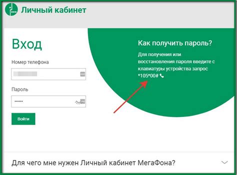 Шаг 2: Войдите в личный кабинет Мегафон