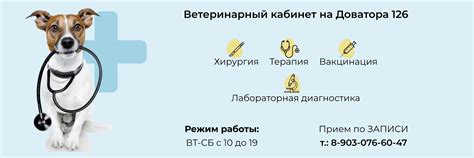 Шаг 2. Постройте ветеринарный кабинет