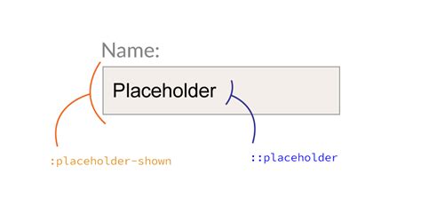 Шаг 3: Определение текста для placeholder