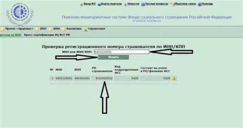 Шаг 4: Проверка через регистрационный номер