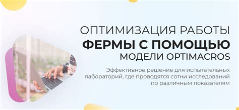 Шаг 5: Оптимизация работы фермы и увеличение продуктивности