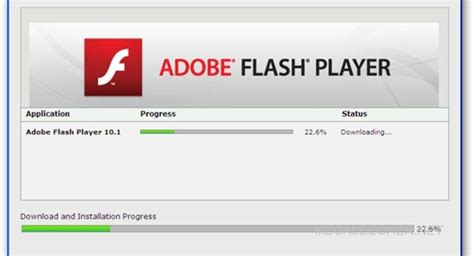 Шаг 5: Установка Adobe Flash Player