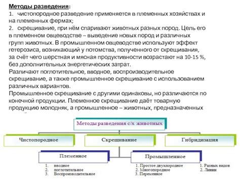 Шаг 6: Структурирование полученного продукта за счёт загустителя