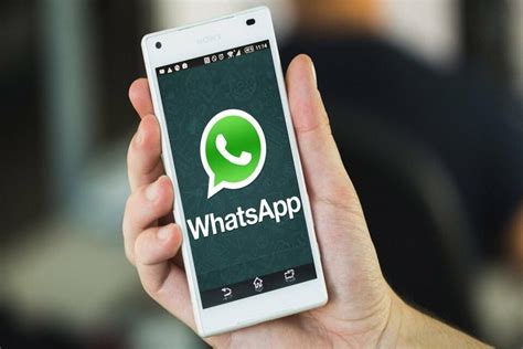 Шаг 9: Готово! Ваш новый номер успешно добавлен в WhatsApp