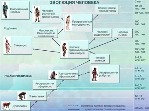 Эволюционная история верхней конечности