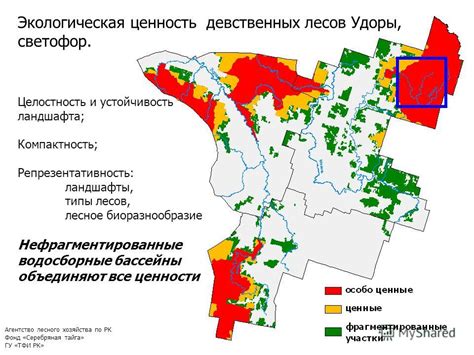 Экологическая ценность исчезающего дикого лесника