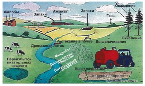 Экологические меры в домашнем хозяйстве