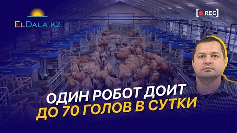 Экономическая выгода для фермеров