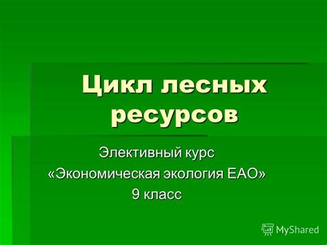 Экономическая значимость лесных ресурсов