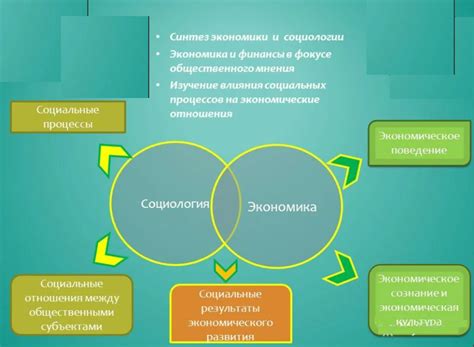 Экономические аспекты амнистии