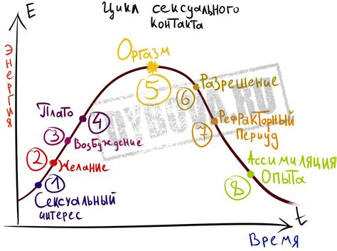 Экспрессия сексуальности и желание контакта