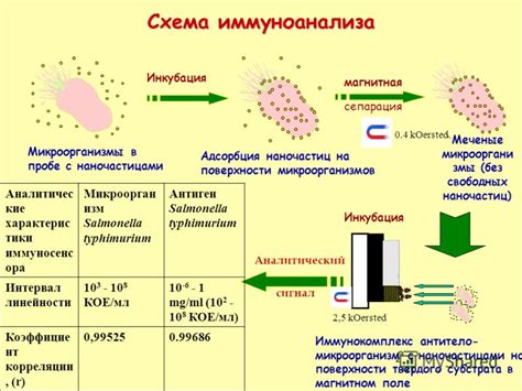 Электрохимический способ анализа: преимущества и ограничения