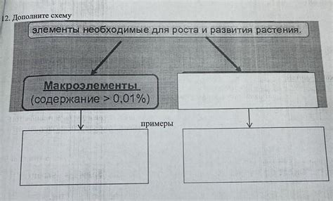 Элементы, необходимые для роста