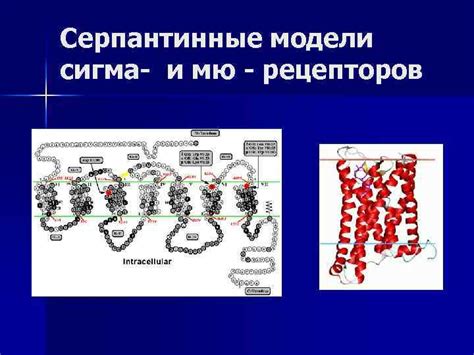 Эмоциональная реакция организма