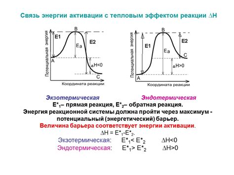 Энергия активации: связь с кинетикой реакций