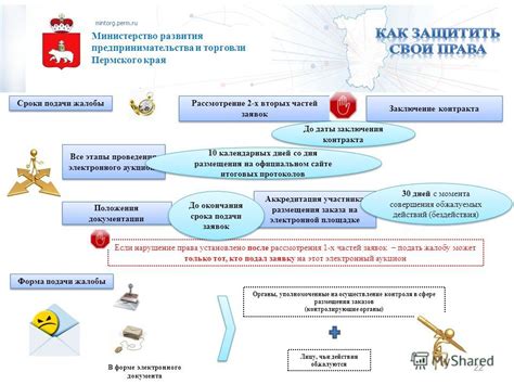 Этапы процедуры подачи жалобы