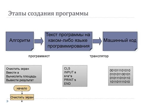 Этапы создания успешной программы