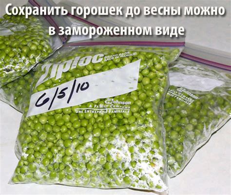 Этап 1: Выбор и подготовка свежего горошка в период сохранения на долгое время