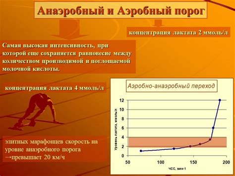 Эффективность аэробных нагрузок