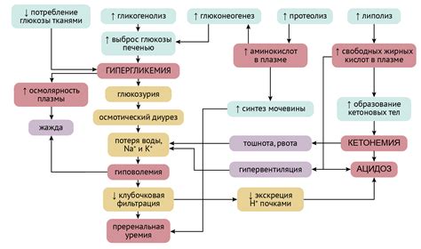 Эффективность и механизм действия зверобоя при сахарном диабете