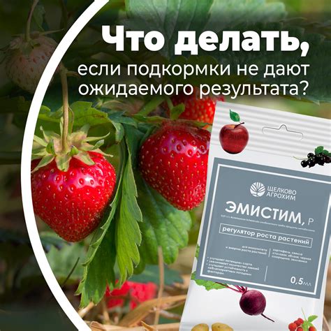 Эффективность подкормки для увеличения яйценоскости