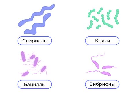 Эффективность при устранении бактерий