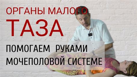 Эффективные методы восстановления таза