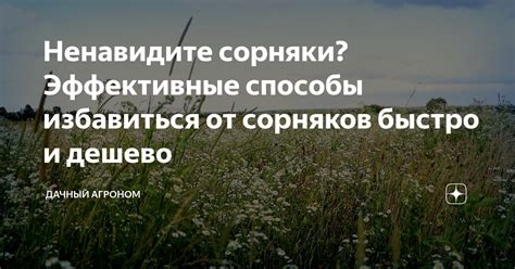 Эффективные способы избавиться от рекомендаций Дзен