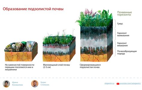 Эффекты изменения почвенной среды