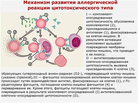 Эффект аллергической реакции