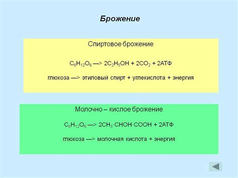 Эффект на процесс брожения