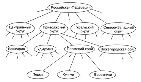  Анализ структуры дерева в контексте двудольного графа 