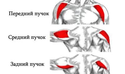  Важность средней дельты при определении потенциальных доходов 