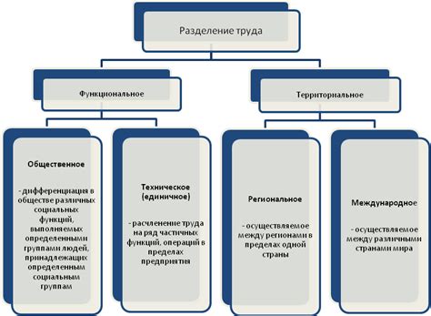  Виды разделения по принадлежности 