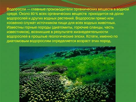  Вклад водорослей в обращение органических соединений в водной среде 