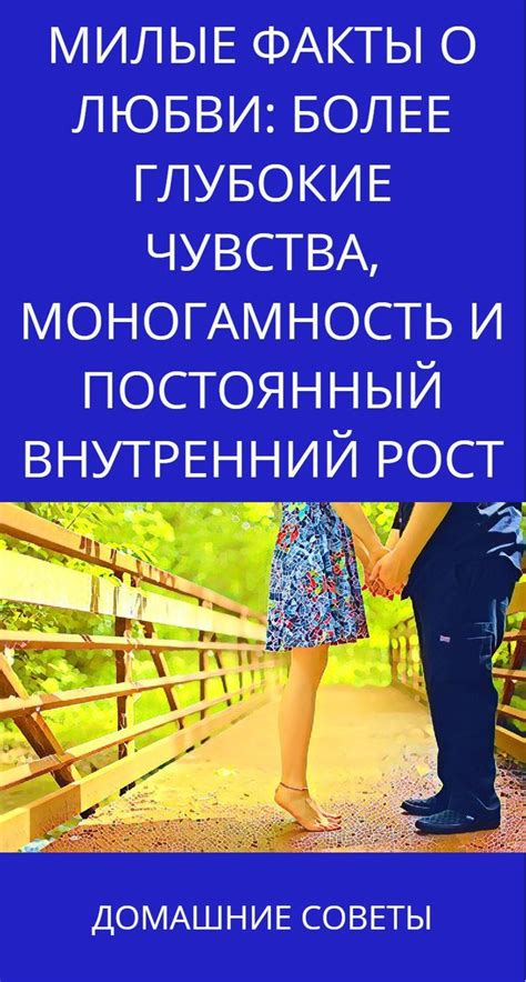  Влияние любви на внутренний рост и эволюцию сущности 