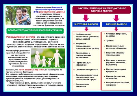  Влияние окружающей среды на мужское репродуктивное здоровье 