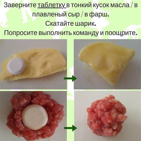  Восстановление питомца после процедуры: рекомендации по уходу
